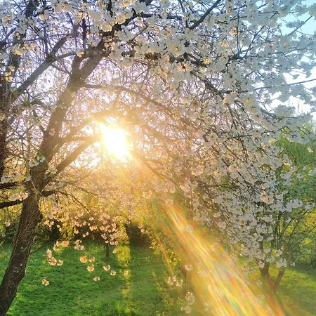 Des Lunes Casa de hóspedes