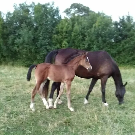 Des Lunes Casa de hóspedes *